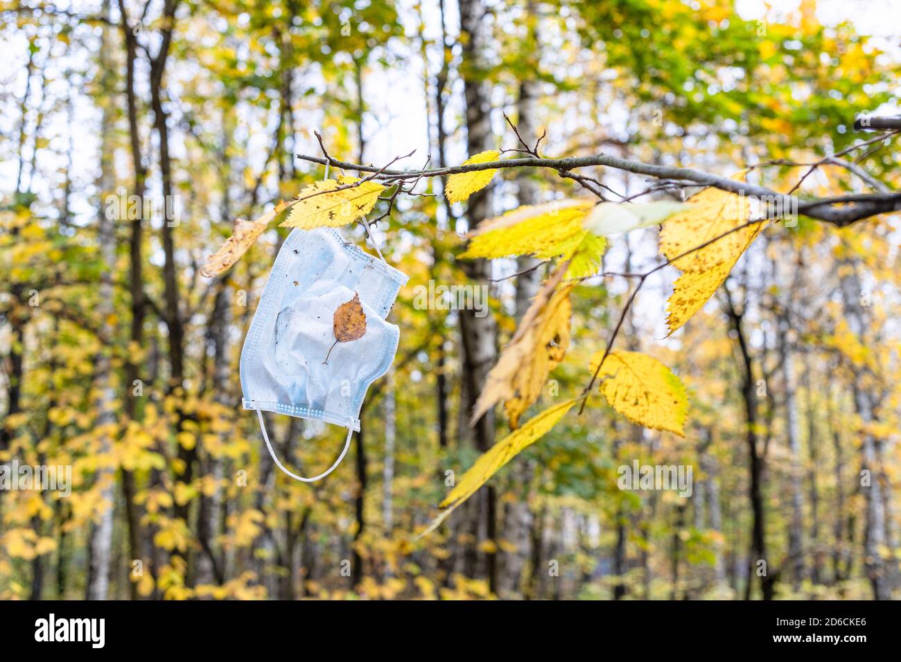 Trash Can With Black Plastic Bag And Green Cut Tree Branches Stock Photo -  Download Image Now - iStock