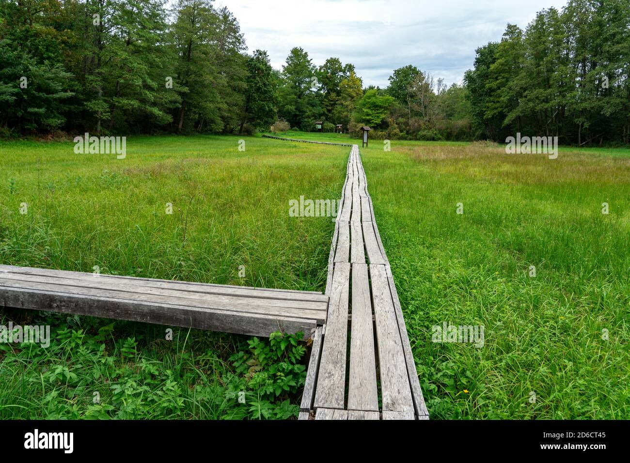 moorland in Szőce in Őrség national park with wooden pathway Stock Photo