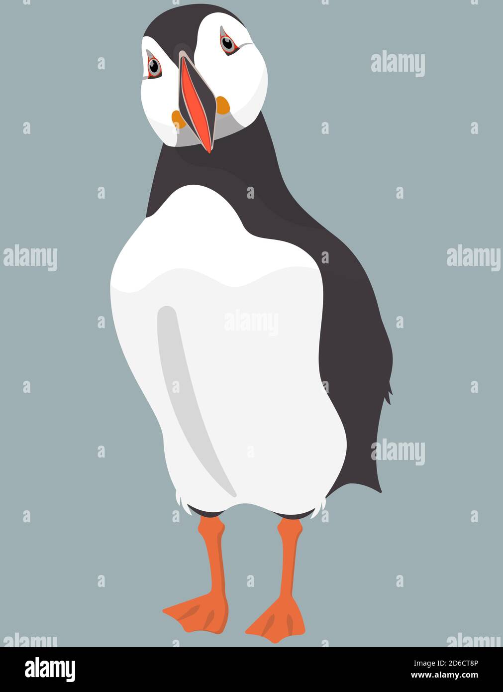 Atlantic puffin front view. Northern bird in cartoon style. Stock Vector