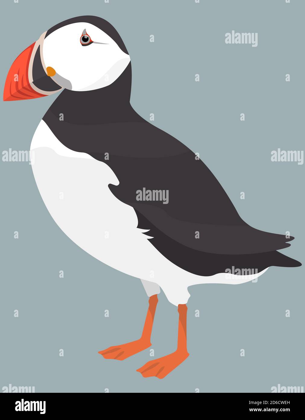 Atlantic puffin side view. Northern bird in cartoon style. Stock Vector