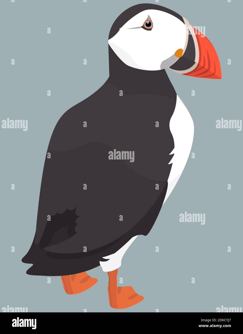 Atlantic puffin back view. Northern bird in cartoon style. Stock Vector