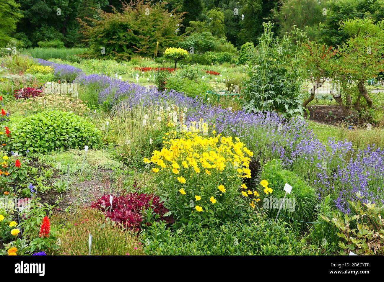 Beautiful summer garden hi-res stock photography and images - Alamy