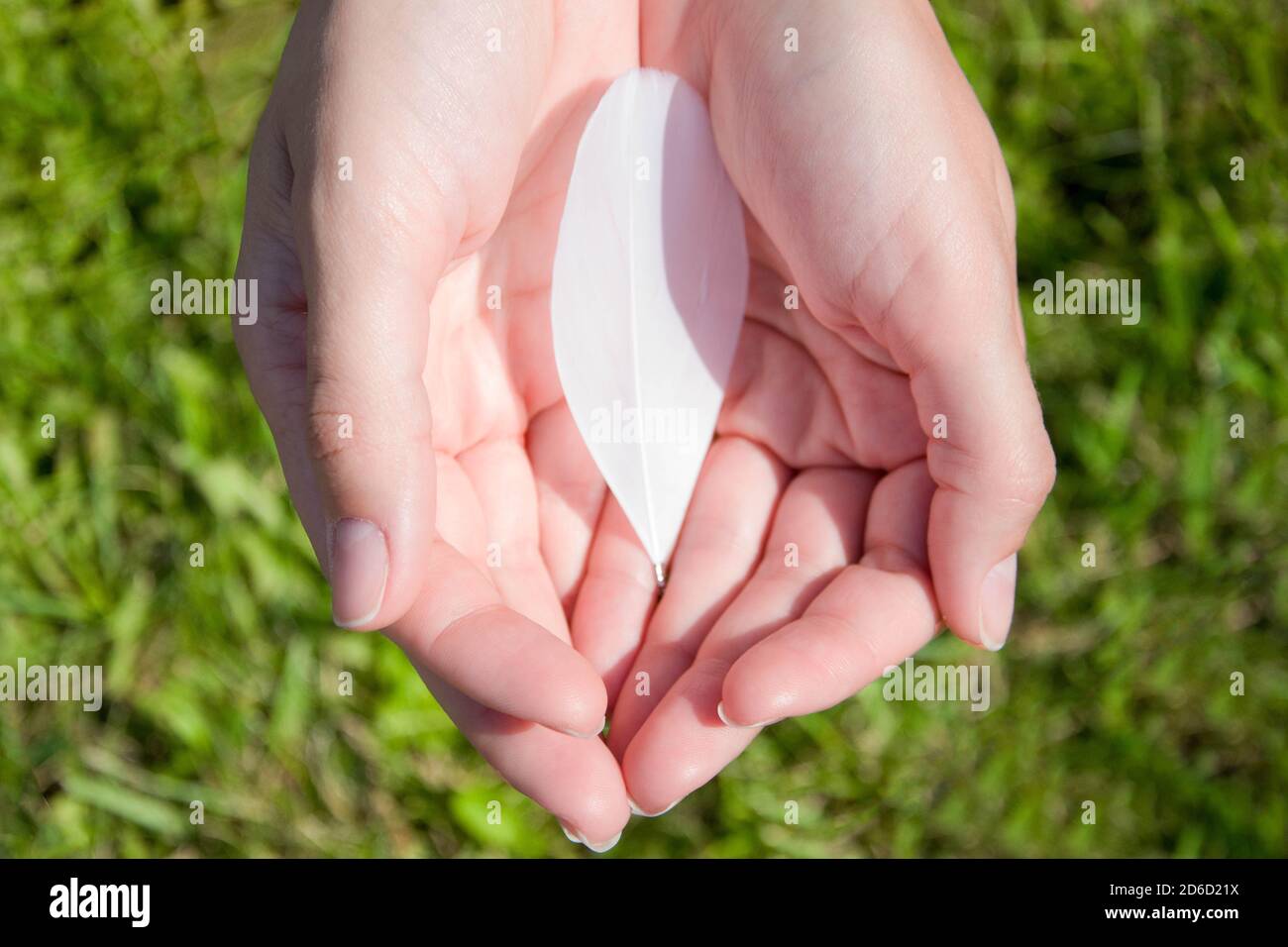 Woman holding a feather in cupped hands Stock Photo