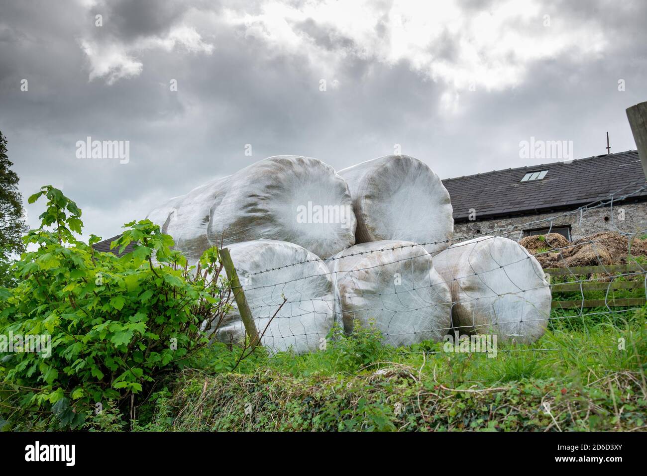 See-through plastic wrapped big bales of feed on a farm near Carnforth, Lancashire, UK. Stock Photo