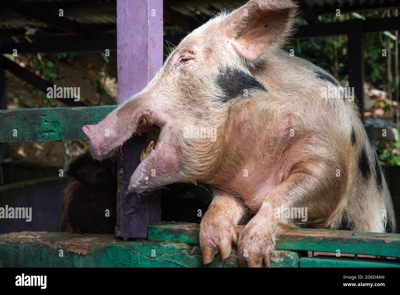 Frederiksted, St. Croix, US Virgin IslandsNovember 17,2019 Non