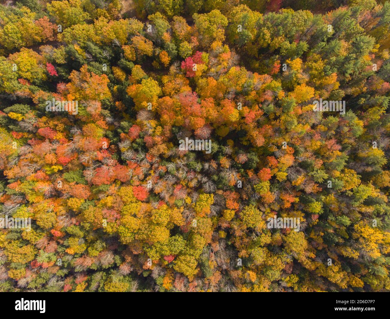 White Mountain National Forest top view with fall foliage, Town of Sanbornton, New Hampshire NH, USA. Stock Photo