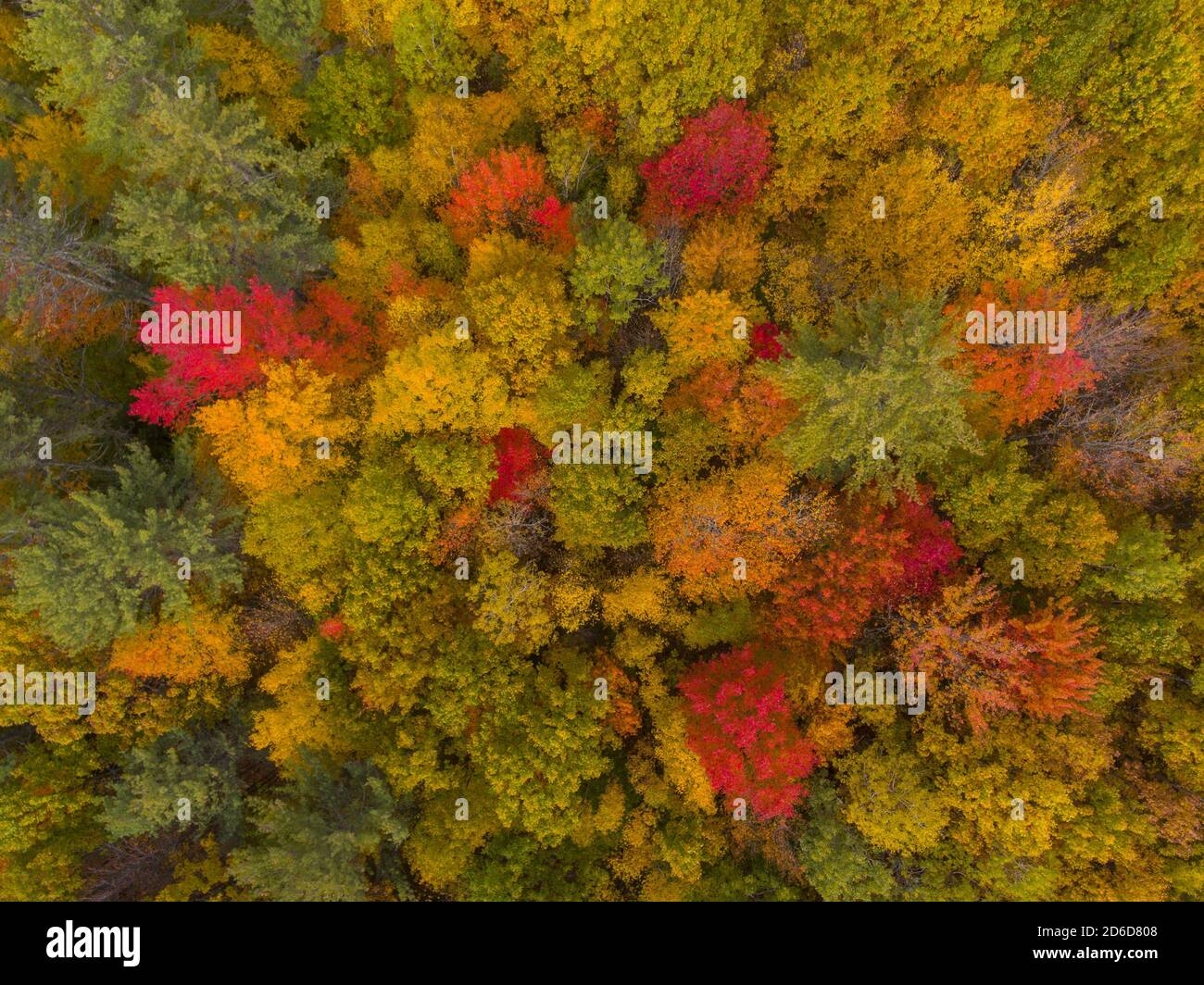 White Mountain National Forest top view with fall foliage, Town of Sanbornton, New Hampshire NH, USA. Stock Photo