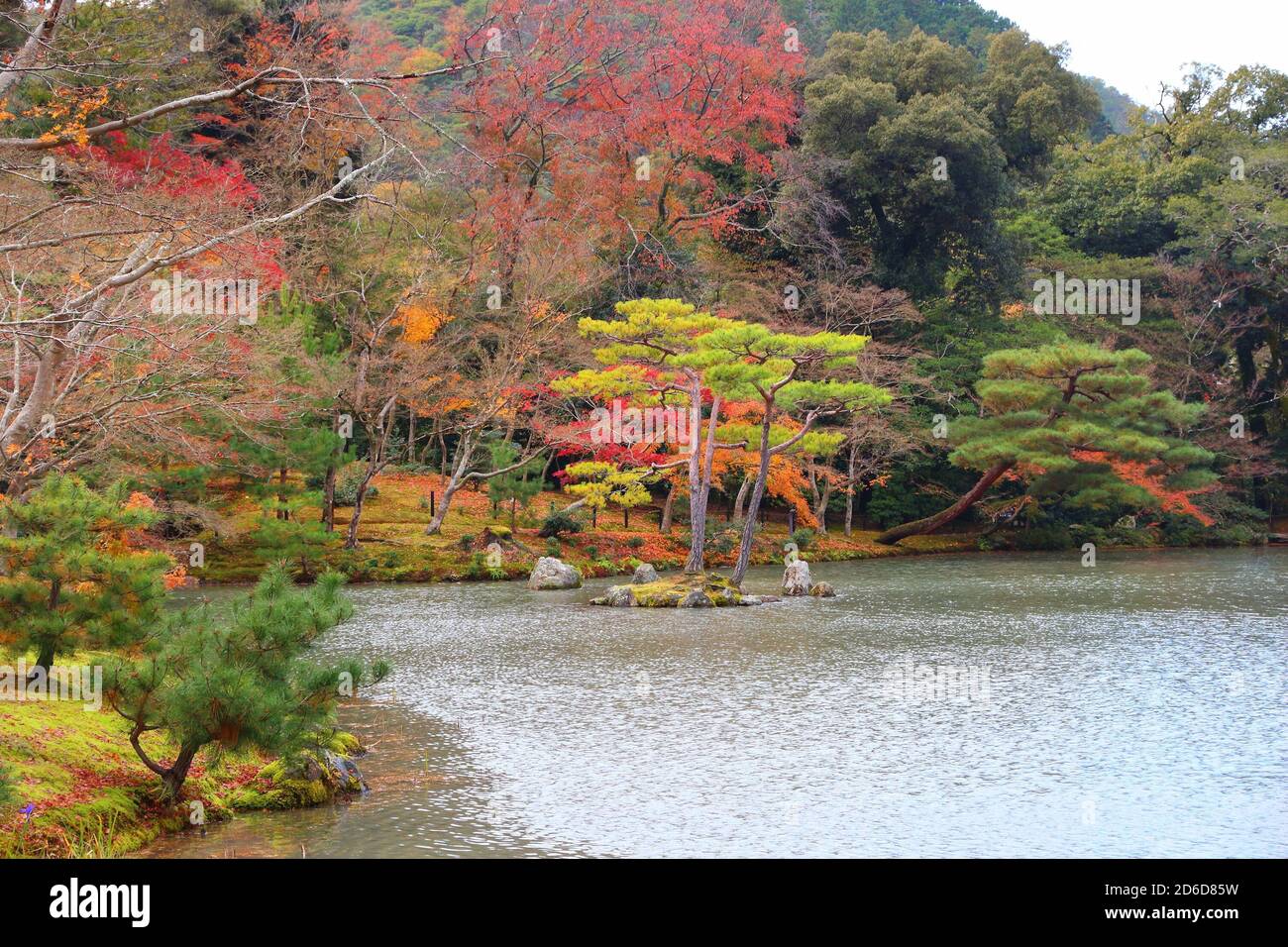 Autumn foliage of Kinkakuji Gardens in Kyoto, Japan. UNESCO World Heritage Site. Stock Photo