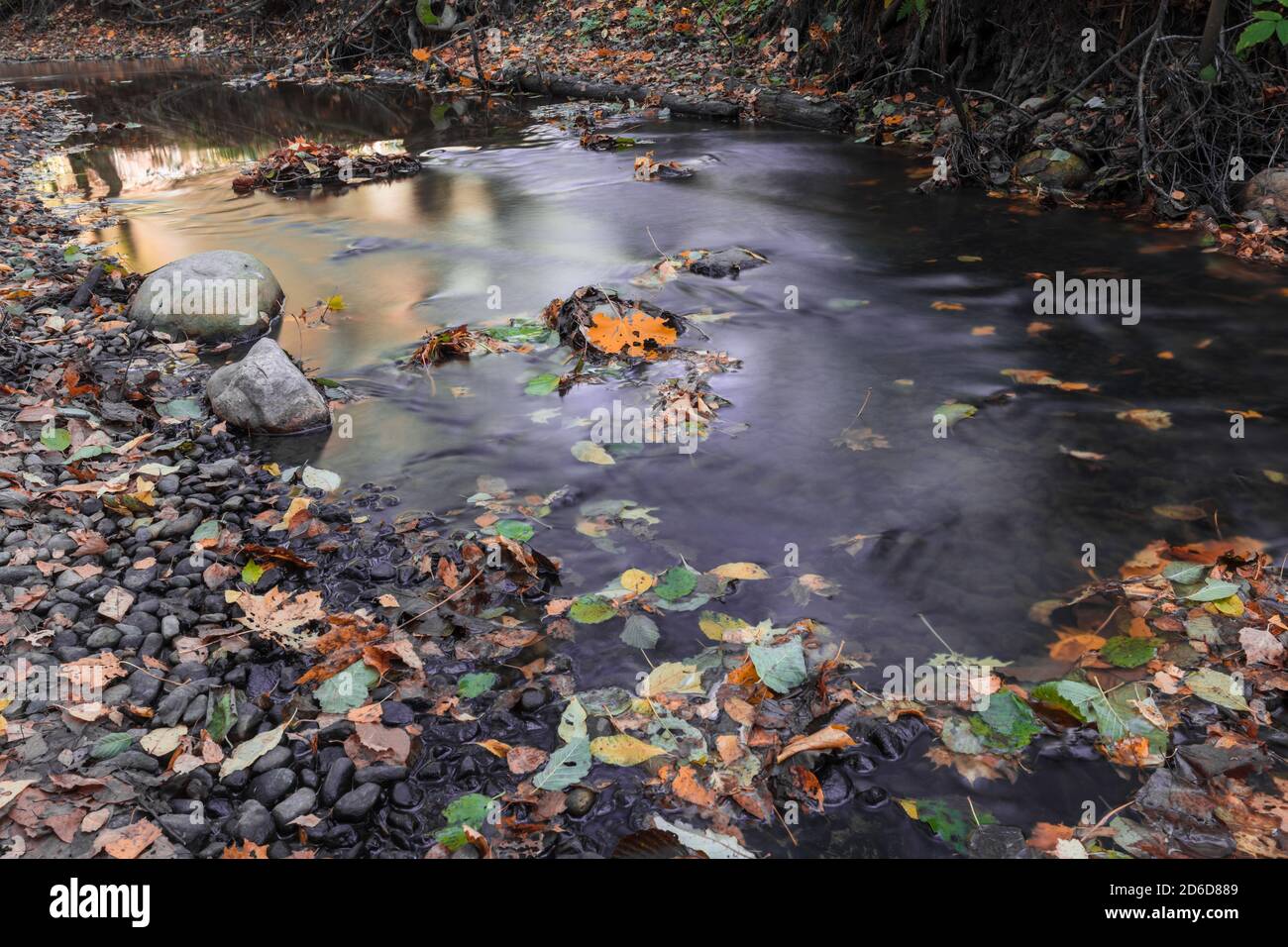 Free Images : rock, water, vacation, countryside, hill, forrest, plant,  green, natural landscape, fluvial landforms of streams, tree, watercourse,  riparian zone, groundcover, sky, mountain river, arroyo, bedrock, jungle,  creek, valley, temperate broadleaf