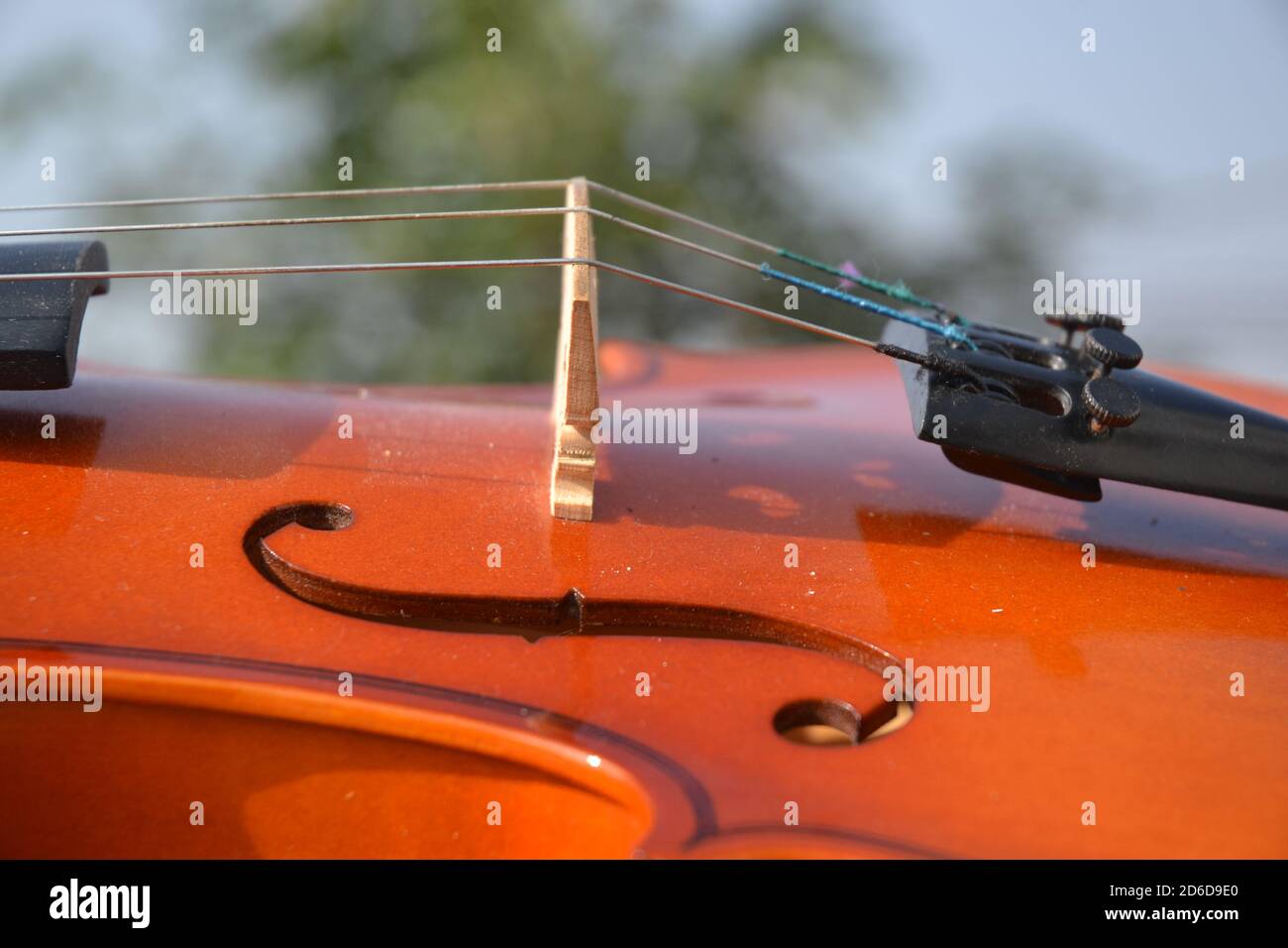 Musical instument Violine. Picture taken in Kathmandu Stock Photo Alamy