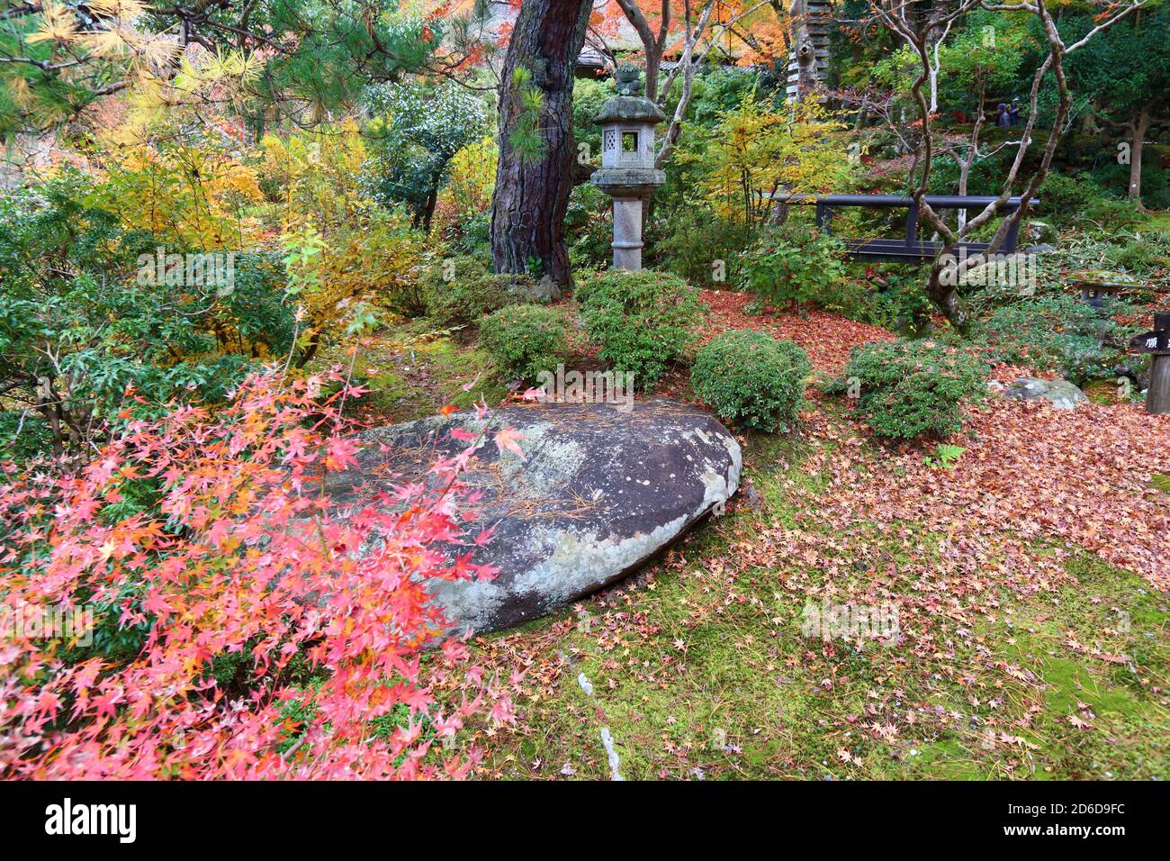 Nara, Japan. Autumn colors in Japanese garden. Yoshikien Garden. Stock Photo