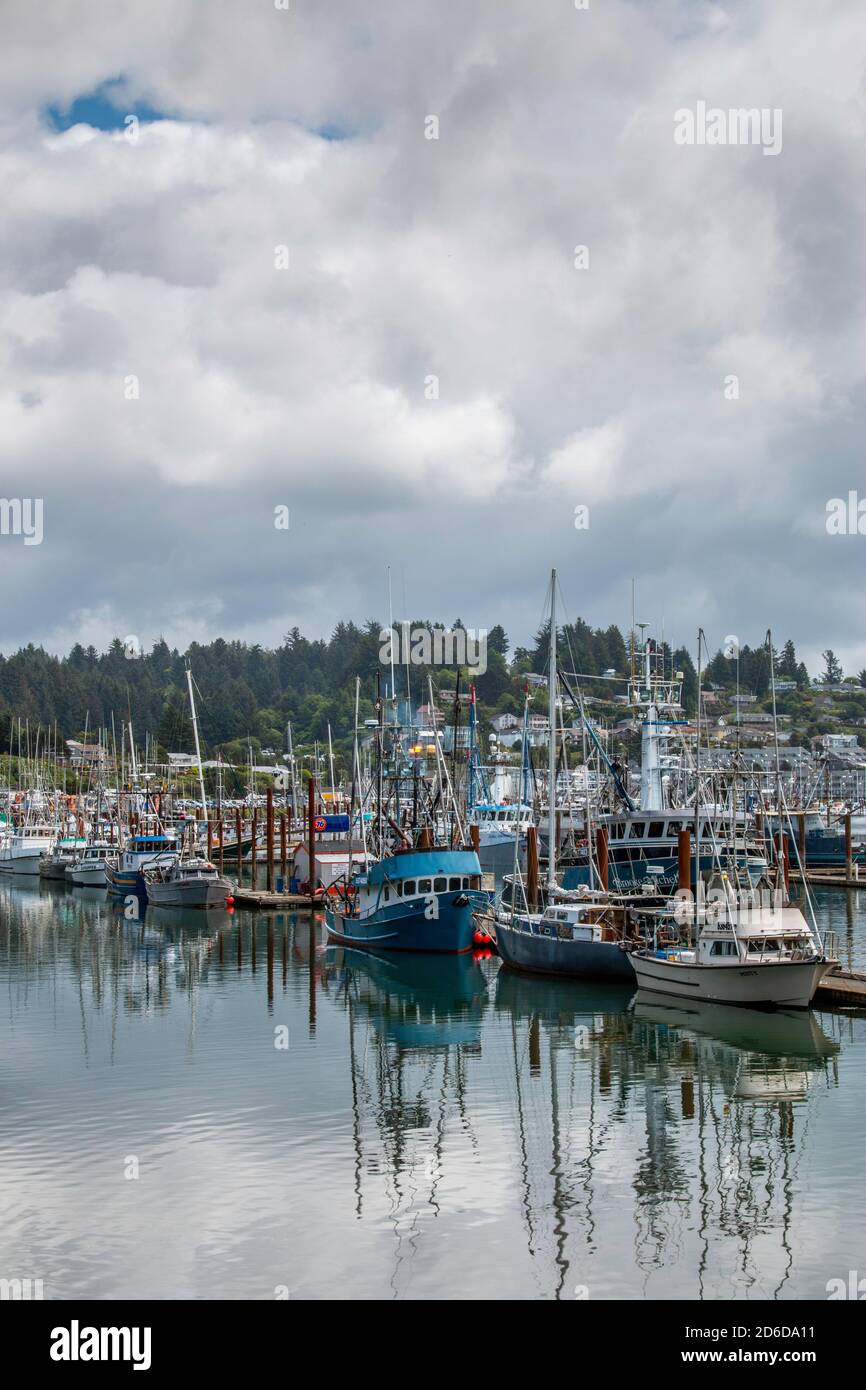 Yachts and fishing boats at a marina in Yaquina Bay in Newport, Oregon