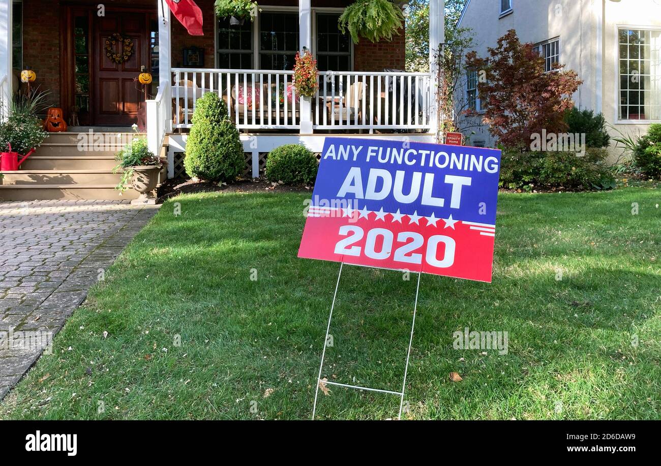 Political Yard Signs for the presidential election in the