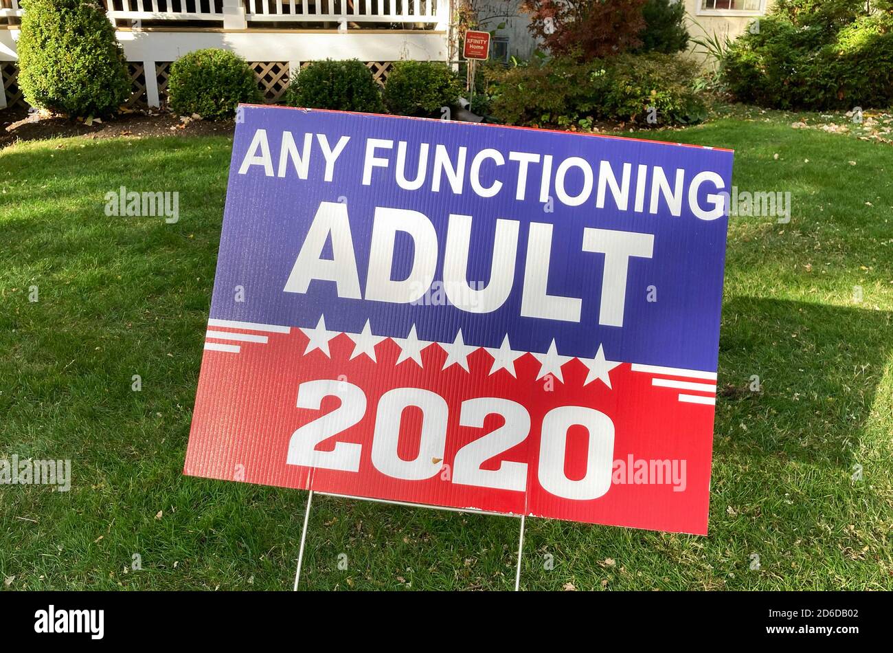 Political Yard Signs for the presidential election in the