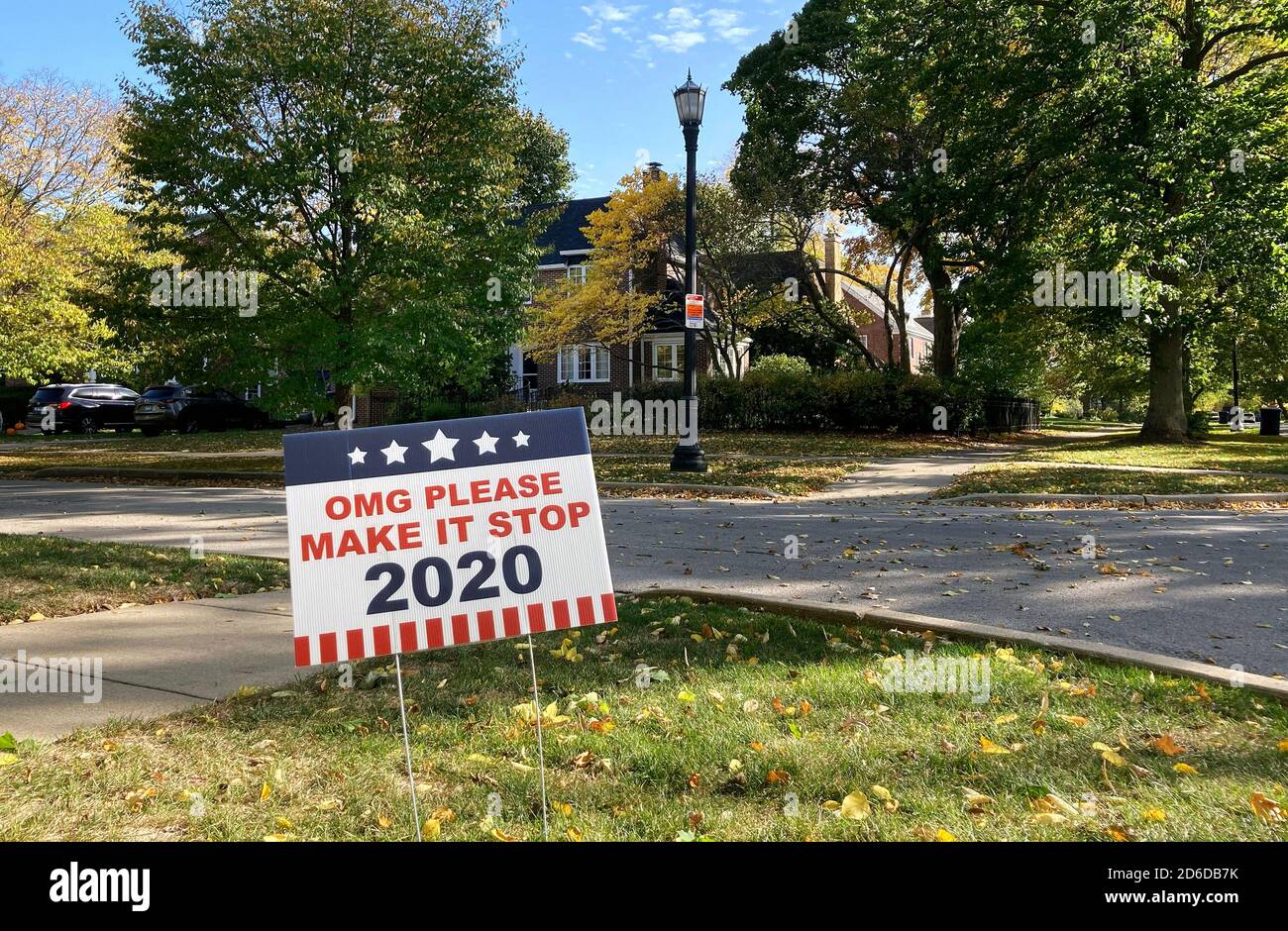 Political Yard Signs for the presidential election in the
