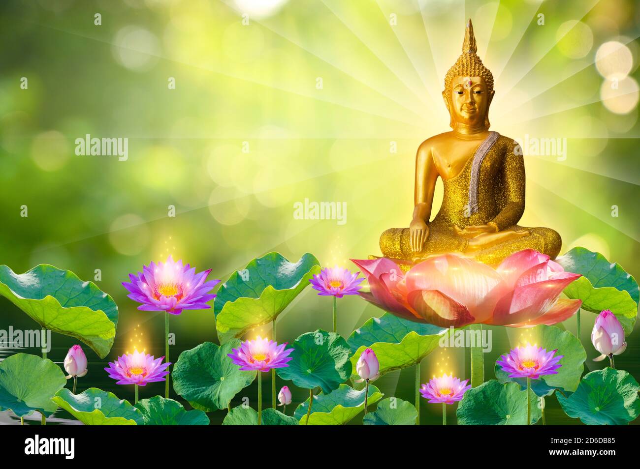 Buddha statue water lotus Buddha standing on lotus flower on orange