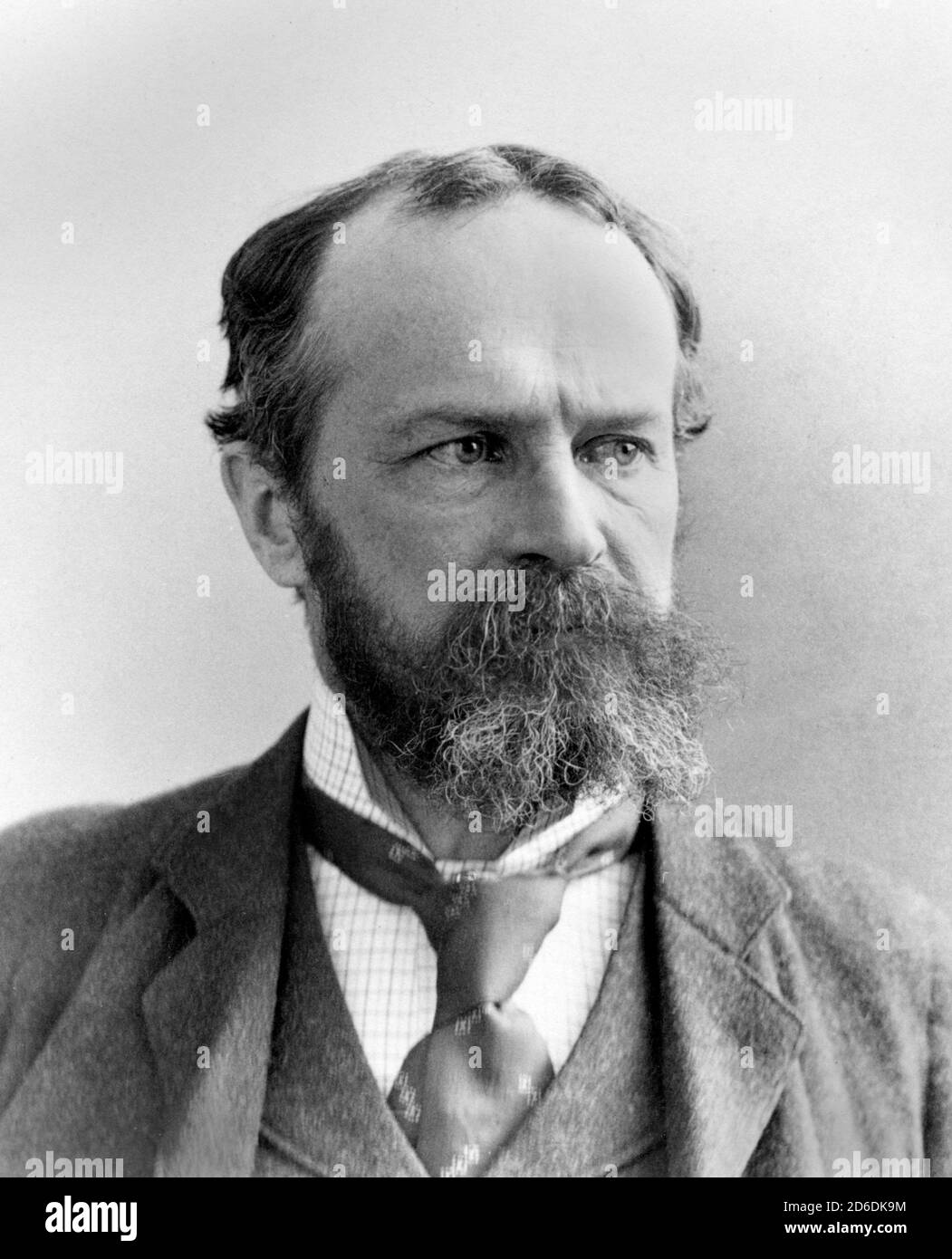 Willliam James. Portrait of the American philosopher and psychologist, William James (1842-1910) by Pach Brothers Studio, c.1880 Stock Photo