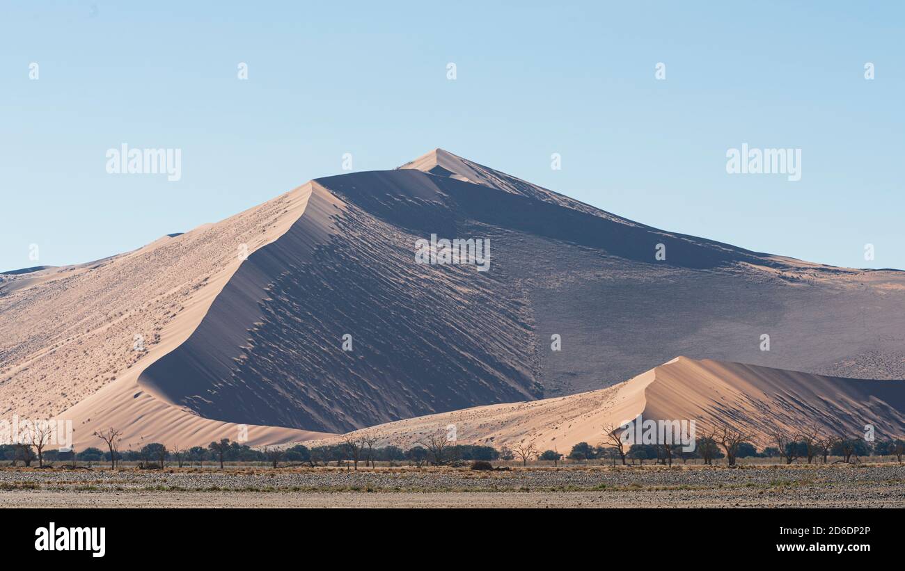 A jeep tour through Namibia, wildlife, country and people. Dune big mama. Stock Photo