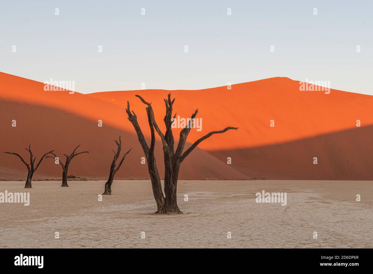 Deadvlei in Namibia: dead camel thorn trees Stock Photo