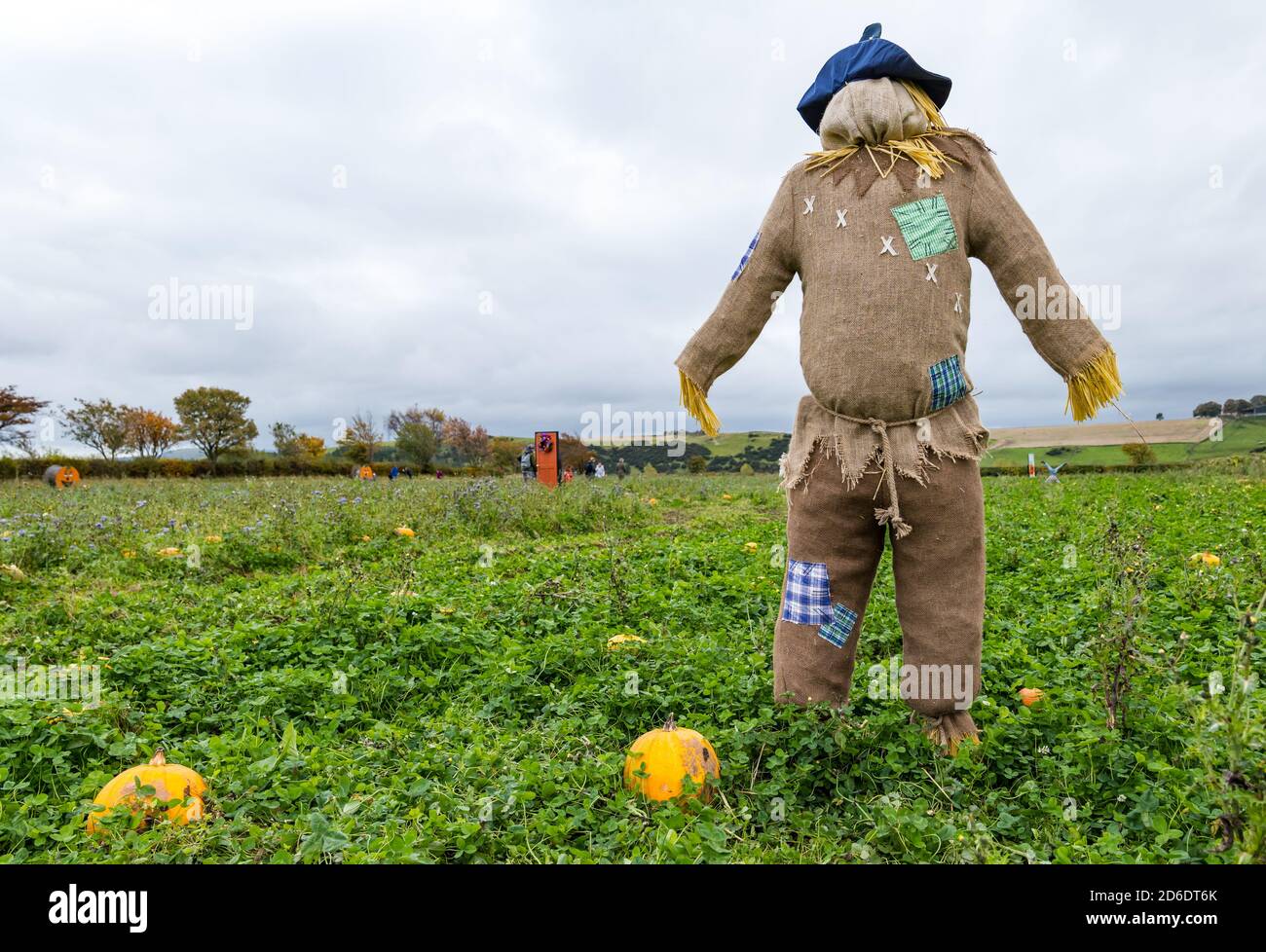 East Lothian, Scotland, United Kingdom, 16th October 2020. Pumpkin Patches Open Two patches at