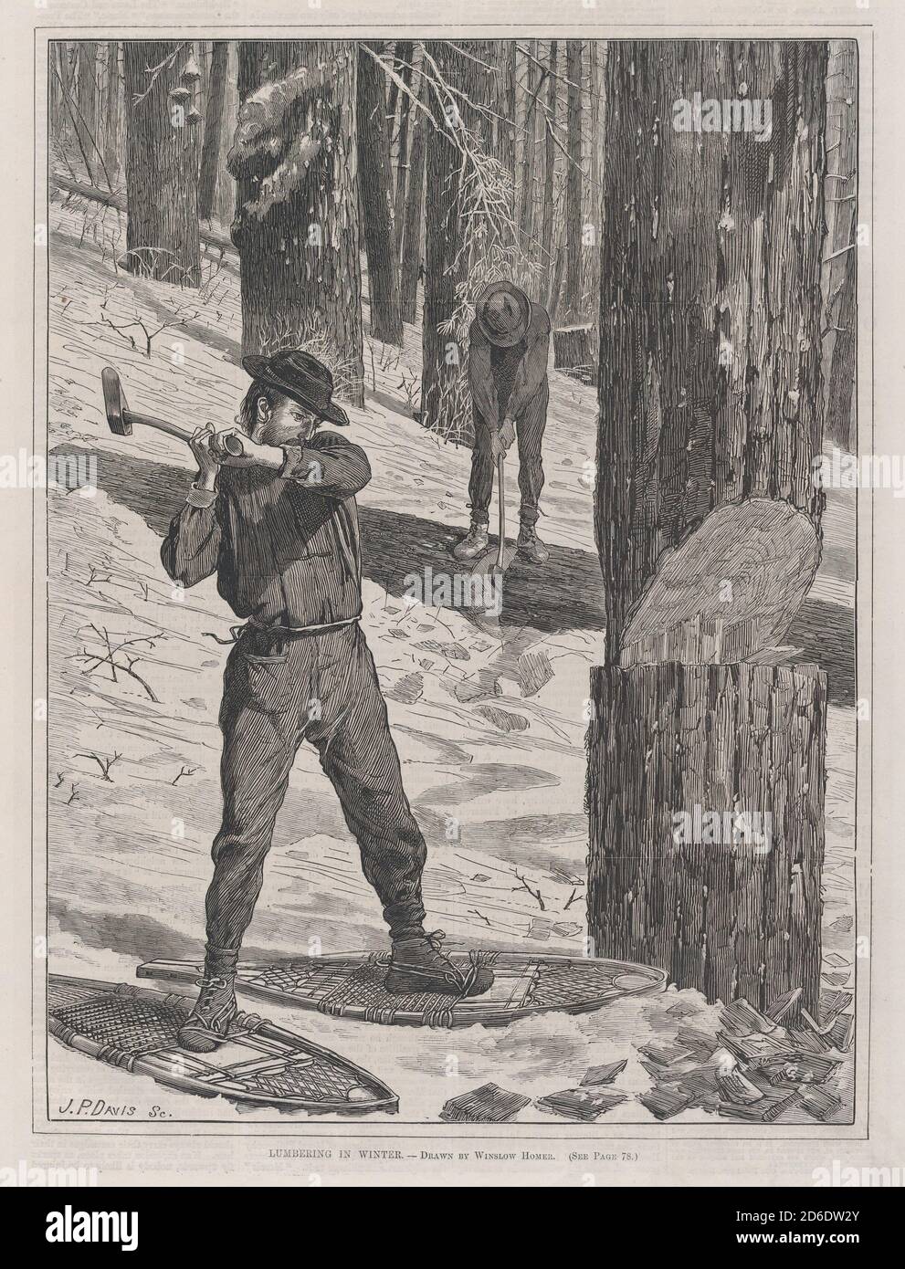 Lumberjack 19th century hi-res stock photography and images - Alamy