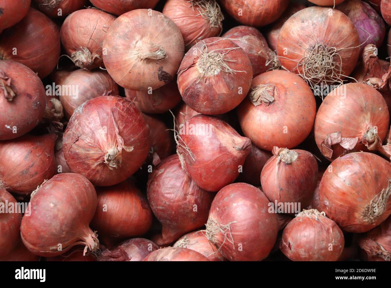 Pile onion hi-res stock photography and images - Alamy