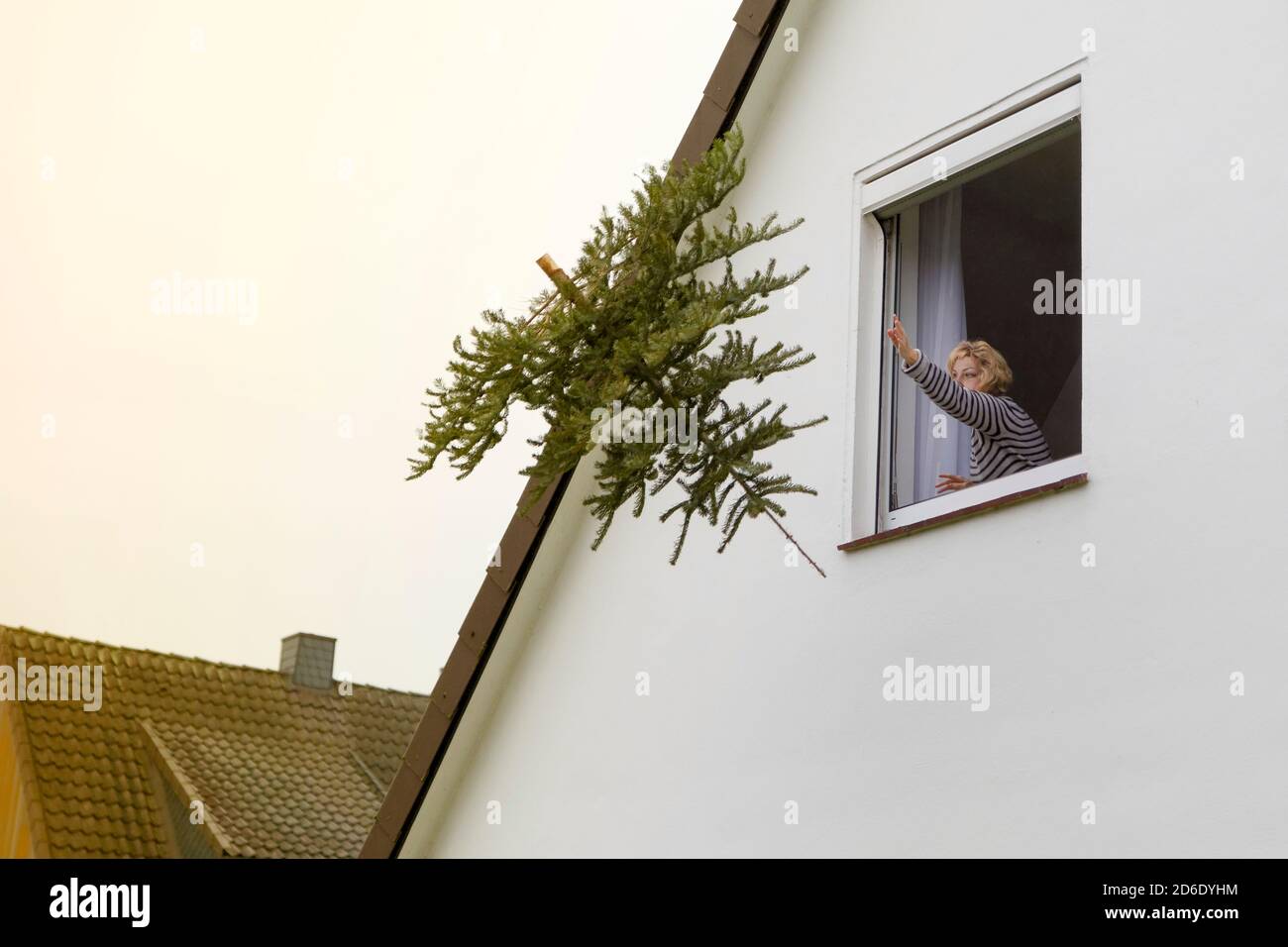 Woman throws a Christmas tree out of the window, Burgwedel, Lower