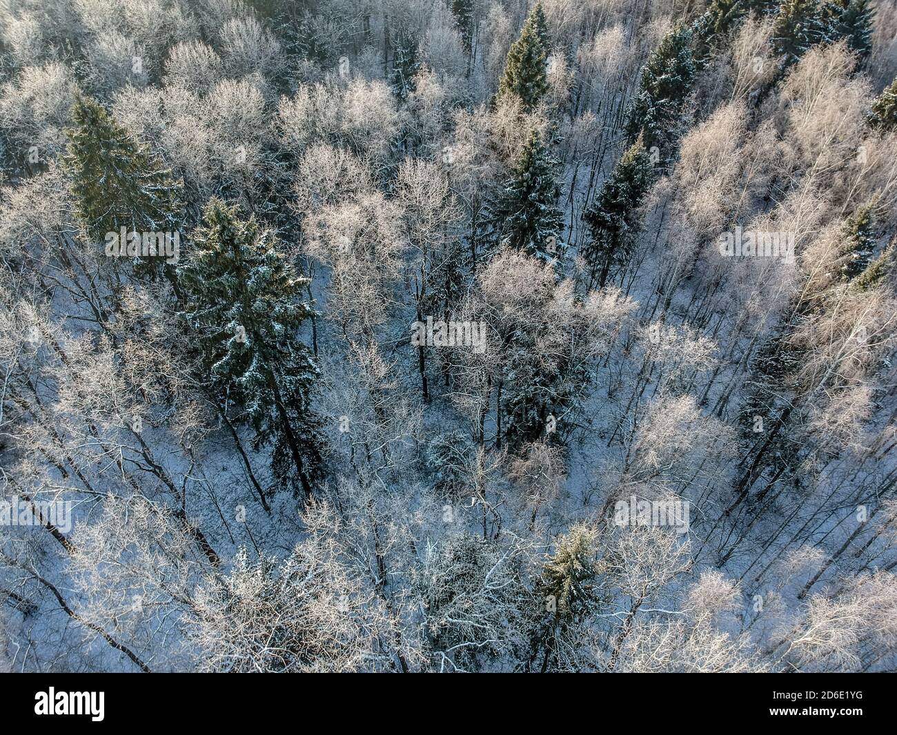 Aerial flight over morning wood hi-res stock photography and images - Alamy