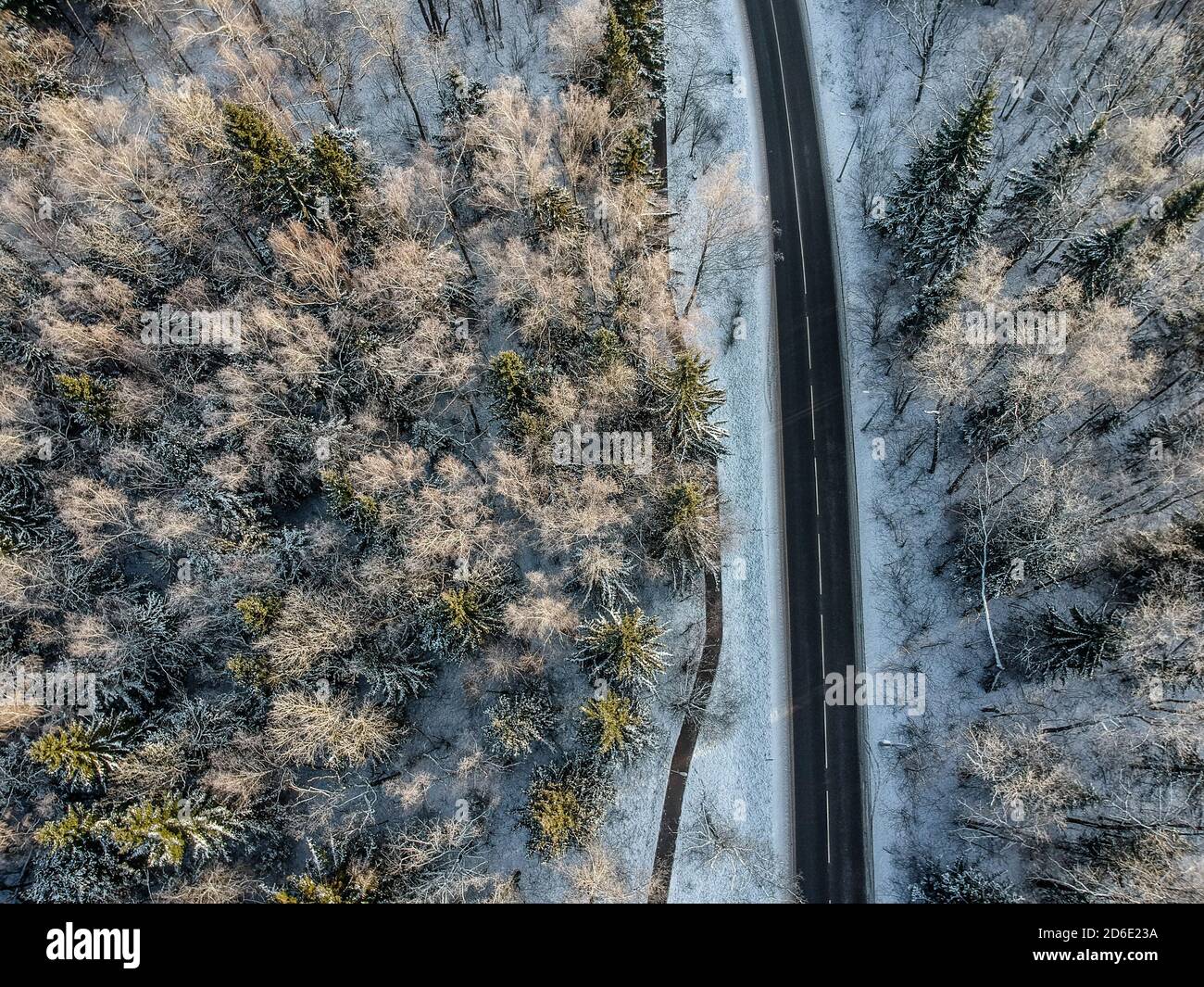 Drone aerial shot thick forest hi-res stock photography and images - Alamy