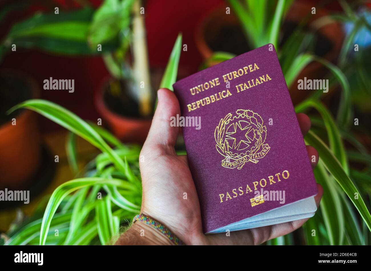 Selective focus shot of a hand holding an Italian passport Stock Photo Alamy