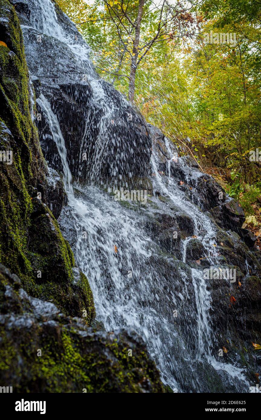 Waterfall fallen oak leaves hi-res stock photography and images - Alamy