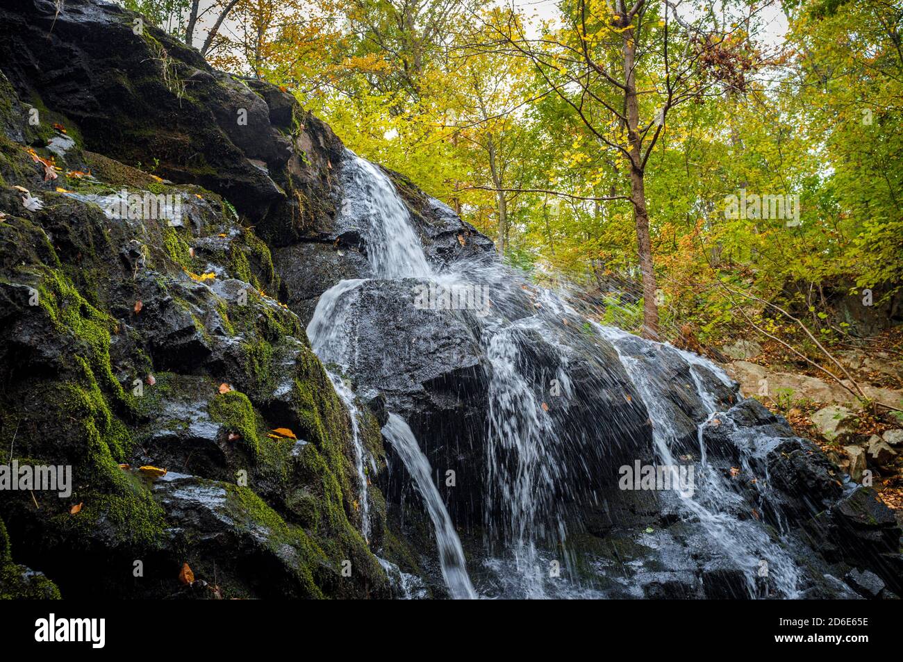 Waterfall fallen oak leaves hi-res stock photography and images - Alamy