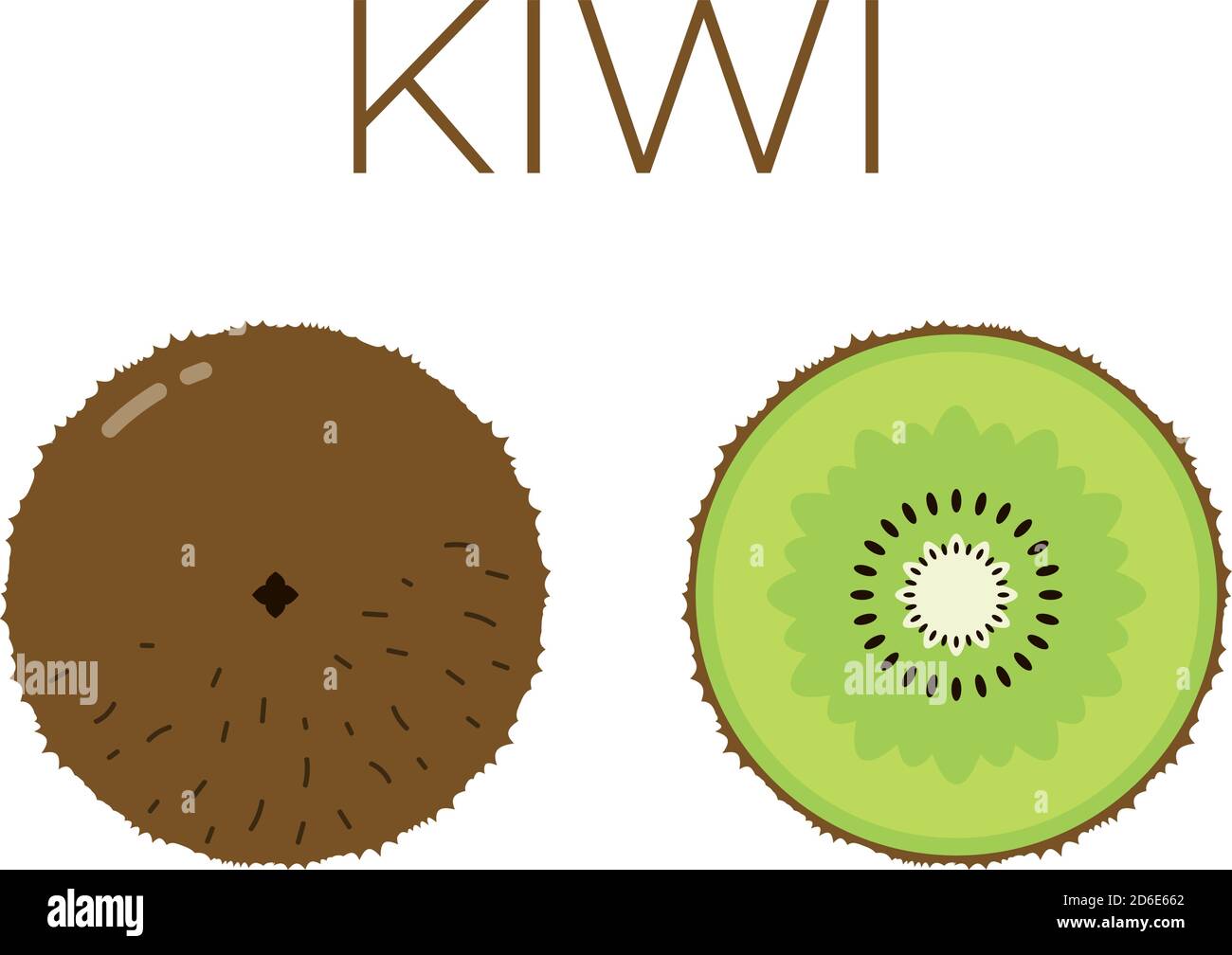 Vector of kiwi and sliced half of kiwi on white background Stock Vector