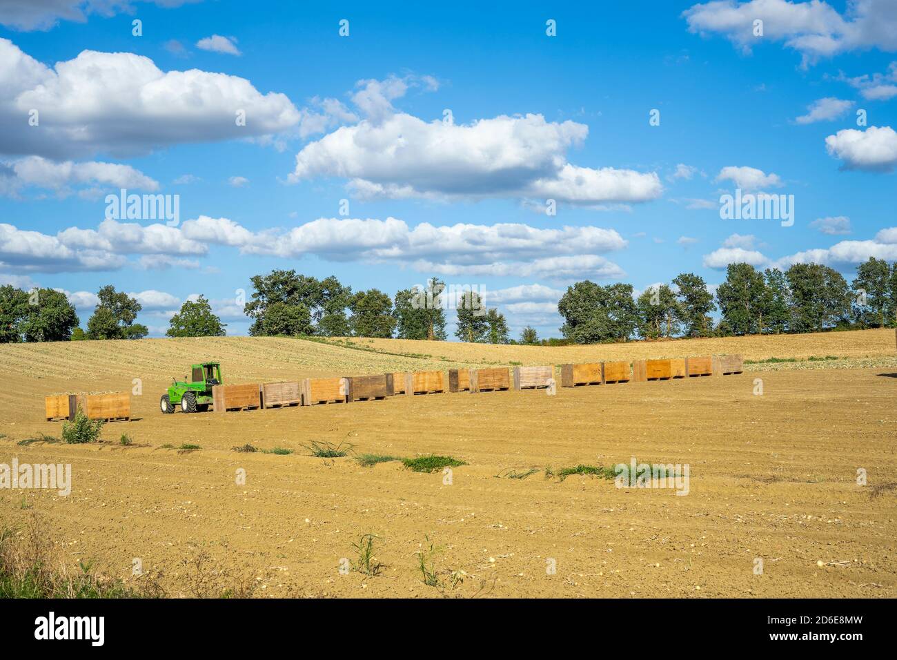 Tractor harvesting onions hi-res stock photography and images - Alamy