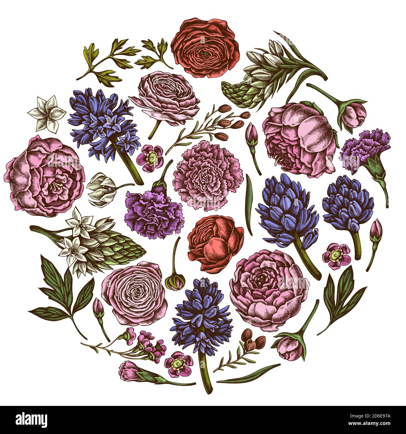 Round floral design with colored peony, carnation, ranunculus, wax flower, ornithogalum, hyacinth Stock Vector
