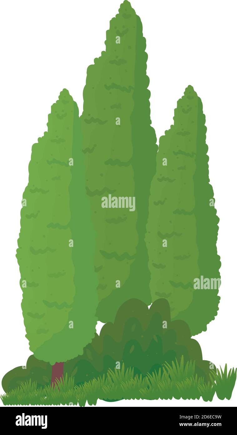 pine trees icons vector design Stock Vector Image & Art - Alamy