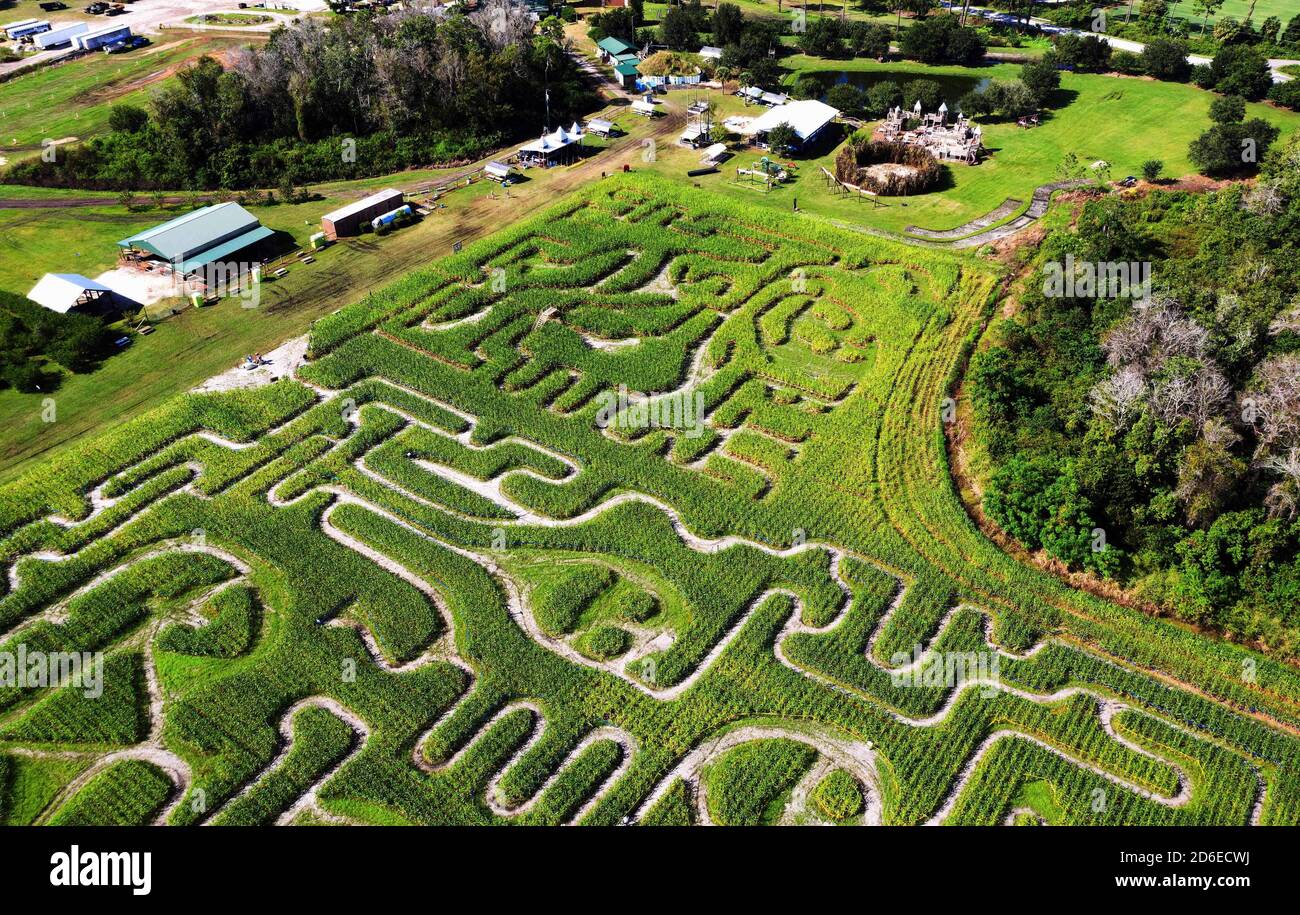 Mt. Dora, United States. 15th Oct, 2020. October 15, 2020 - Mt. Dora, Florida, United States - The annual fall corn maze is seen at Long and Scott Farms in this aerial view from a drone on October 15, 2020 in Mt. Dora, Florida. The theme for this yearÕs 6-acre maze, which is open with social distancing during the coronavirus pandemic, is 'Farm to Table.' Credit: Paul Hennessy/Alamy Live News Stock Photo
