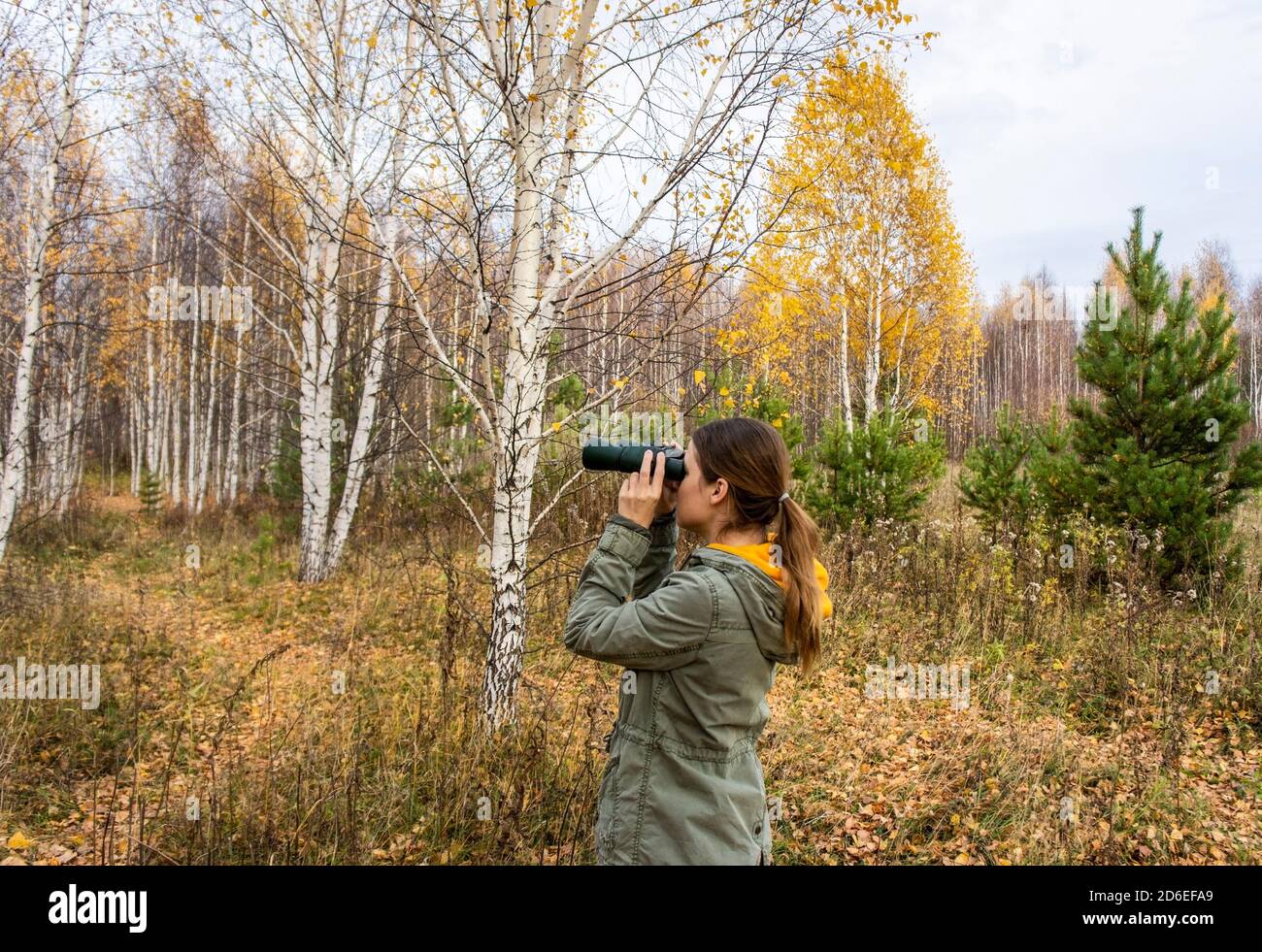 Young woman birdwatcher with binoculars in the autumn forest. Birdwatching, zoology, ecology. Research, observation of animals. Ornithology Stock Photo