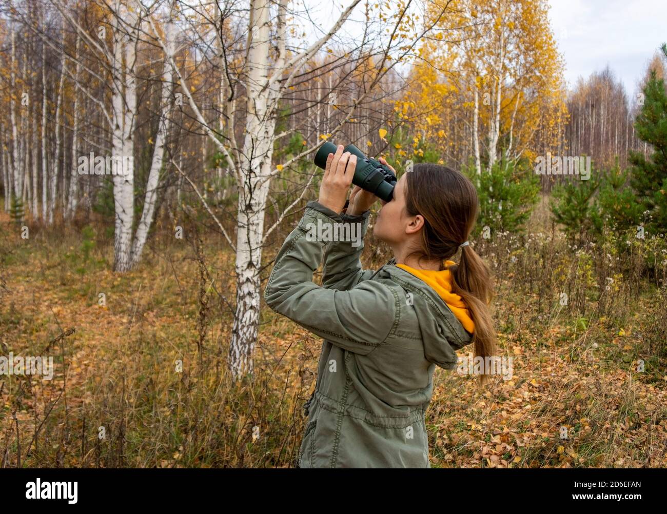 Young woman birdwatcher with binoculars in the autumn forest. Birdwatching, zoology, ecology. Research, observation of animals. Ornithology Stock Photo