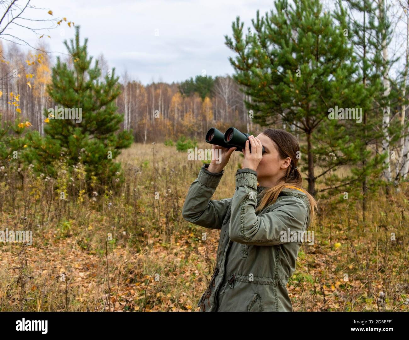 Young woman birdwatcher with binoculars in the autumn forest. Birdwatching, zoology, ecology. Research, observation of animals. Ornithology Stock Photo