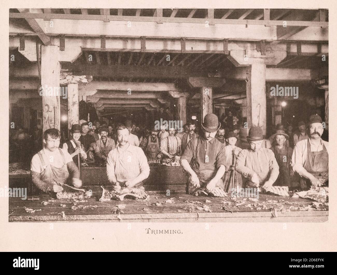 Workers trimming meat in the Union Stock Yards packing house, Chicago, Illinois. Stock Photo