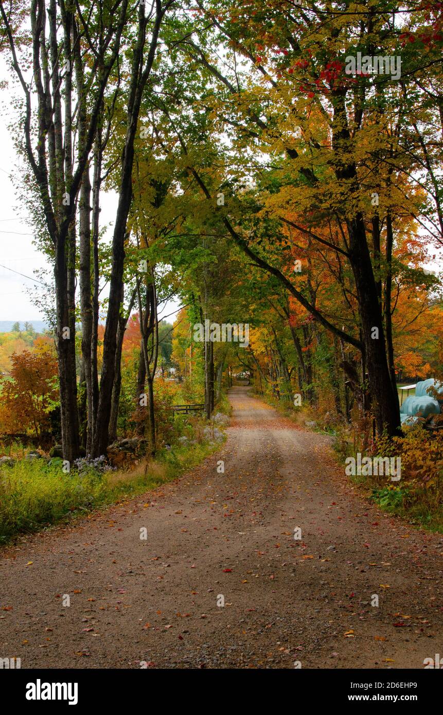 New England Fall Road Stock Photo - Alamy