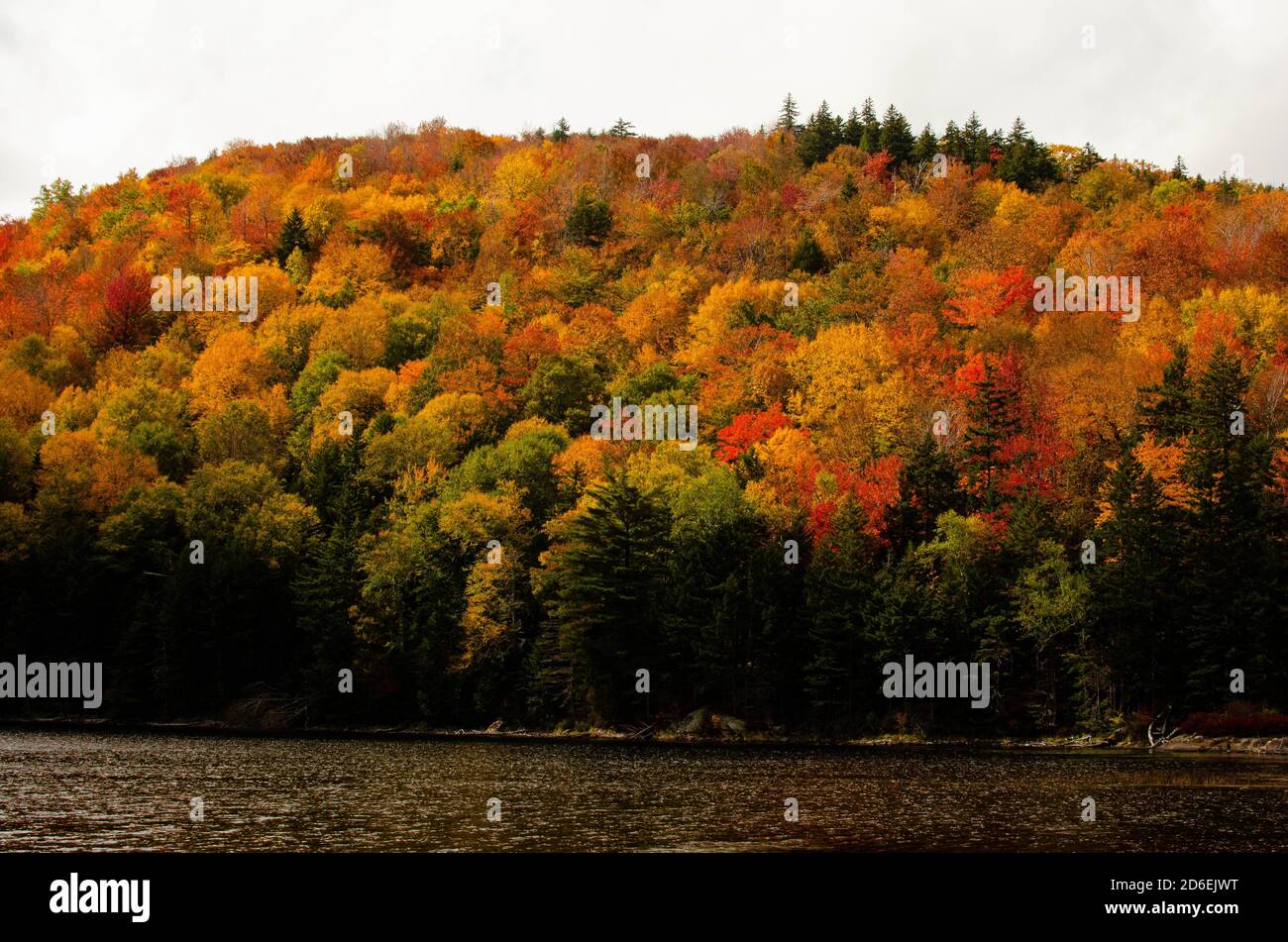 Remote Fall Scene Fall Foliage in Remote Mountains Stock Photo - Alamy
