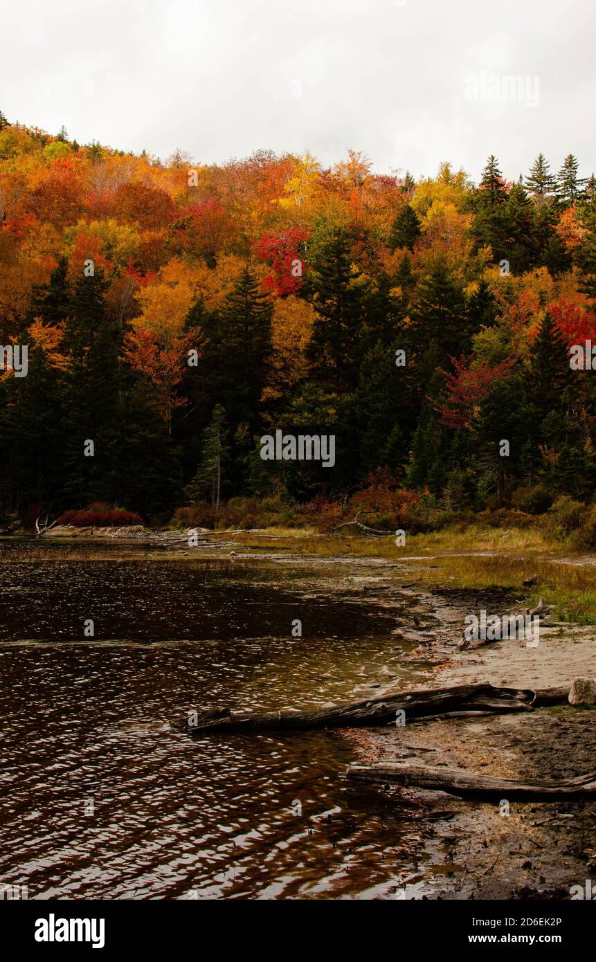 Remote Fall Scene Fall Foliage in Remote Mountains Stock Photo - Alamy