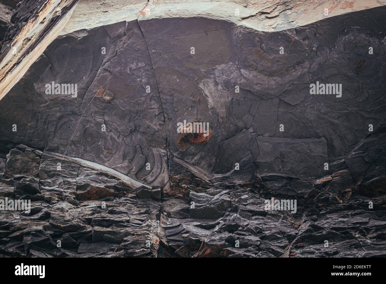 Fossils sedimentary rock hi-res stock photography and images - Alamy