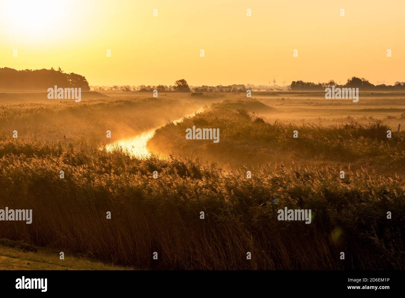 Misty golden sunrise in an autumnal field Stock Photo - Alamy