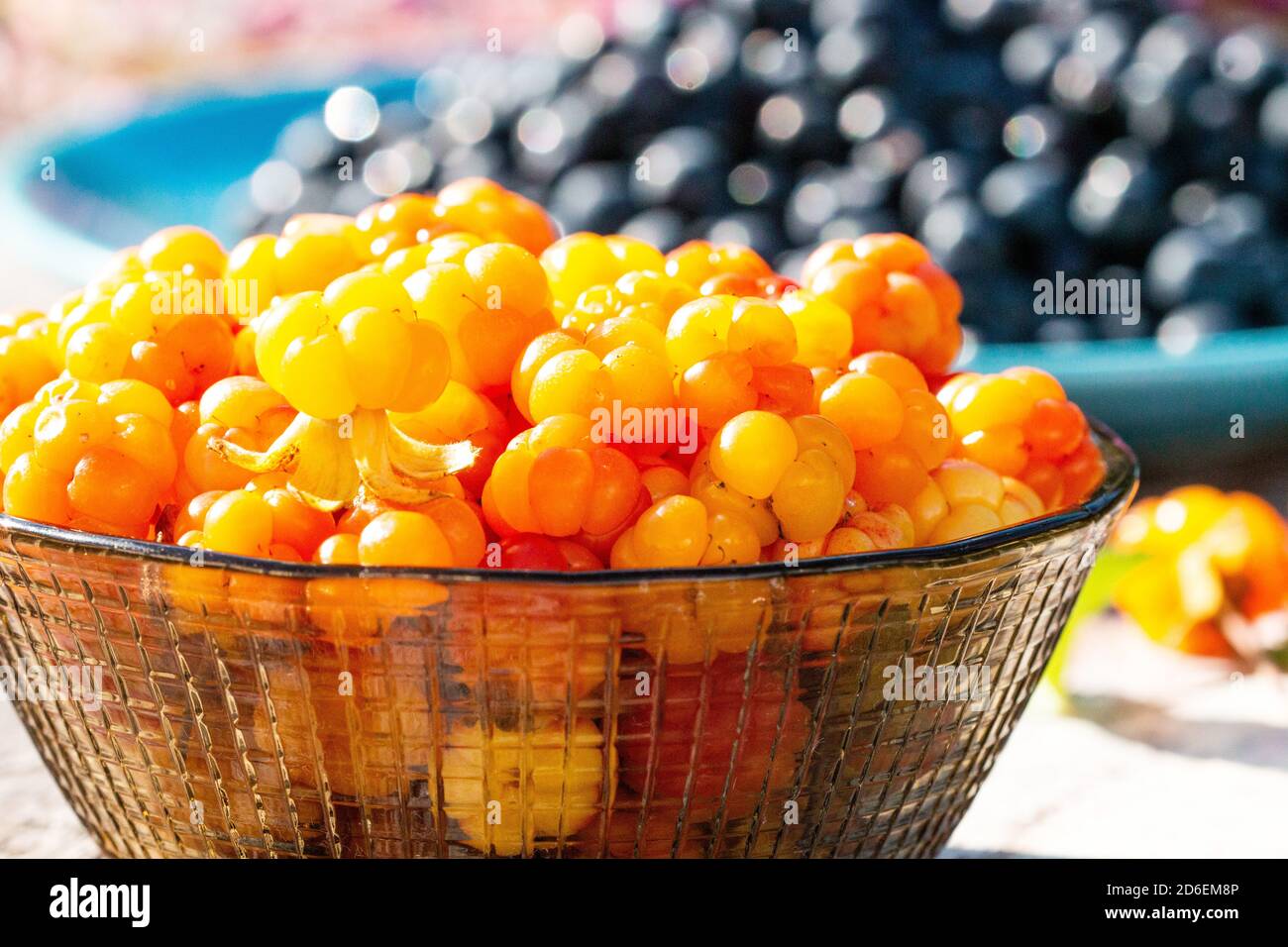 Golden and freshly picked sweet Cloudberries (Rubus chamaemorus) as northern delicacy in a small glass bowl during a summer day in Estonia. Stock Photo