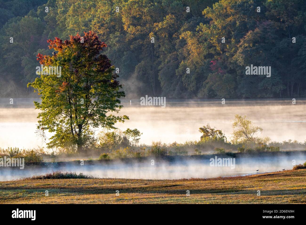 The boiling lake hi-res stock photography and images - Alamy