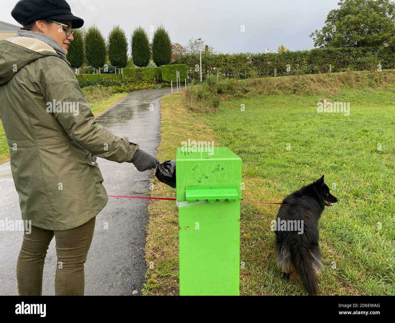 can you dipose of dog poop in waste container