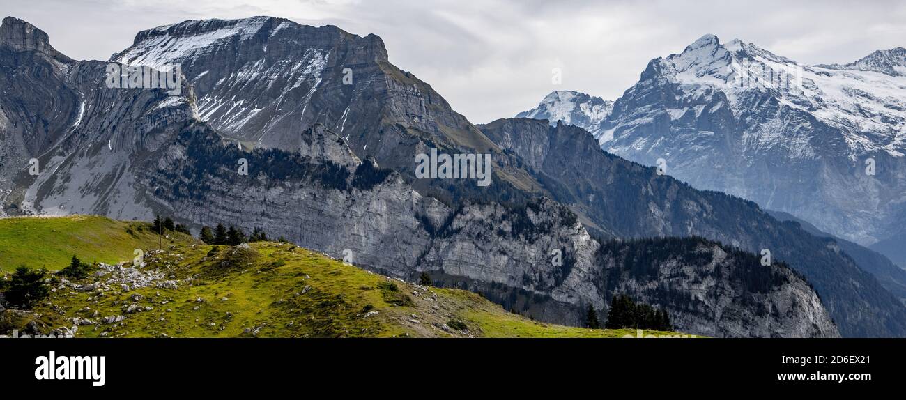 Wonderful panoramic view over the Swiss Alps Stock Photo - Alamy